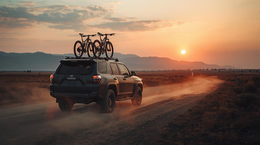 Riding Shotgun: A Coffee Mug's Tale