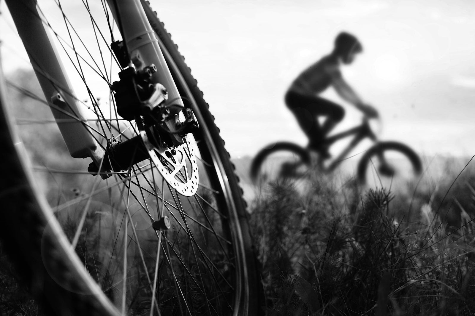 Clarks 4 Sole Quad Nano Organic Disc Brake Pad1