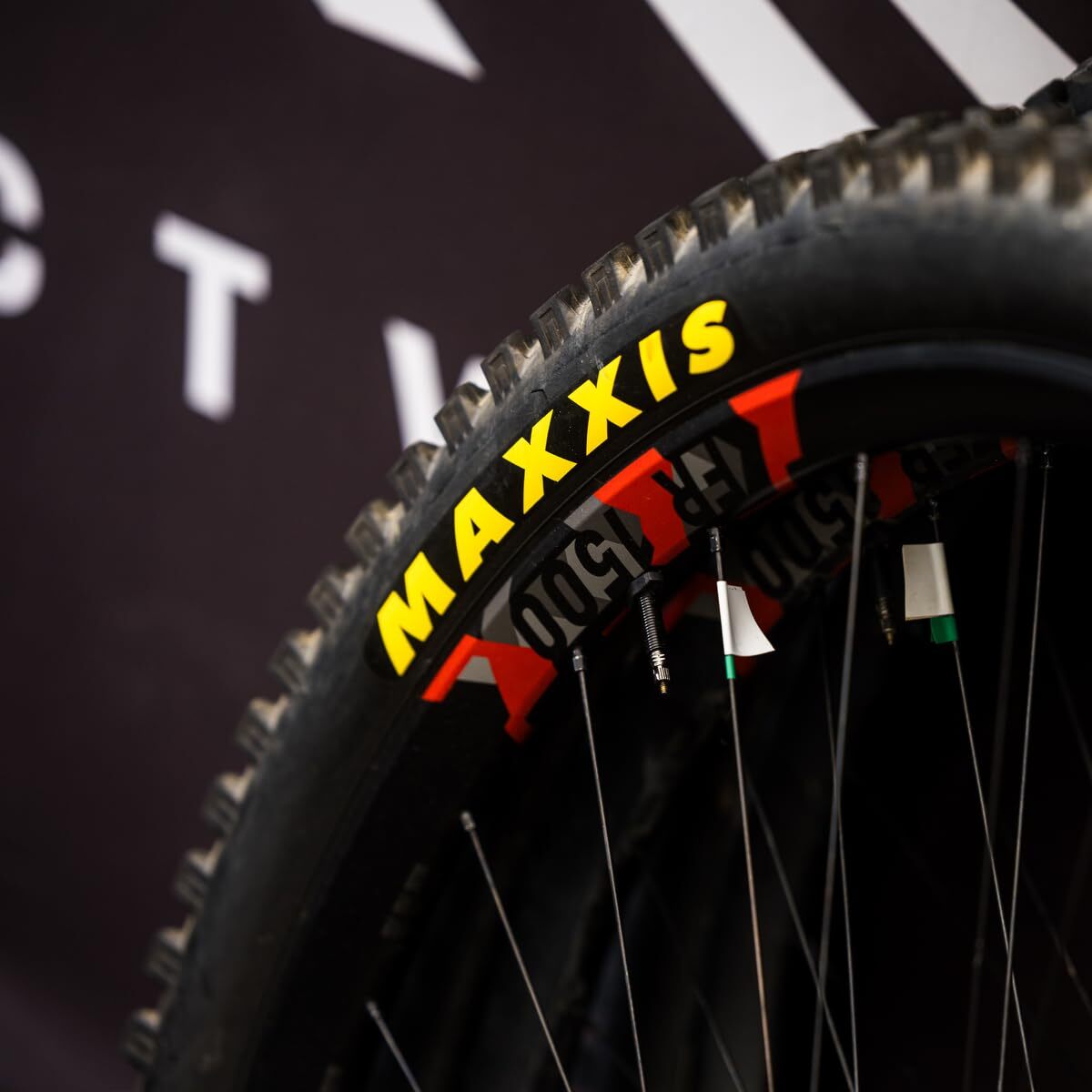 Maxxis Dissector - 3C MaxxTerra - 29 EXO, EXO+, DD - E25 Rating, Tubeless | Troy7