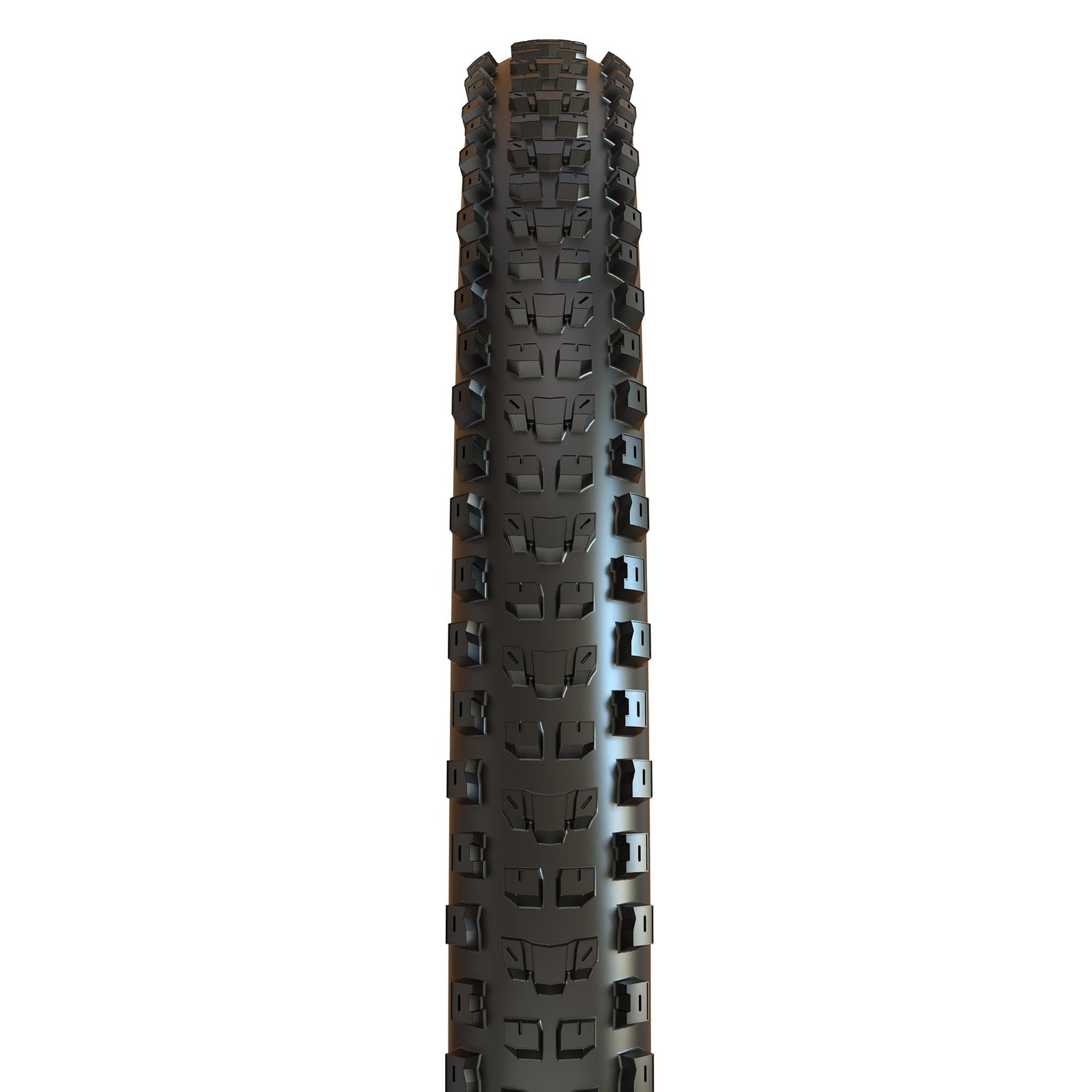 Maxxis Dissector - 3C MaxxTerra - 29 EXO, EXO+, DD - E25 Rating, Tubeless | Troy1