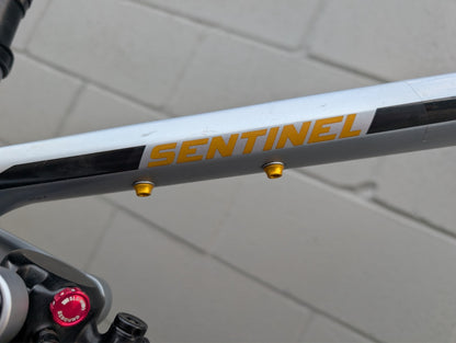 Transition Sentinel Alloy – Size Medium – SRAM GX Eagle, Fox 36, Reserve Carbon7