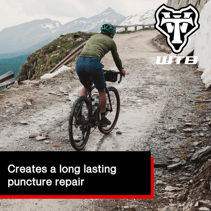WTB Tubeless Bike Tire Sealant (4 oz) Quick Seal for Punctures up to 6mm, All2