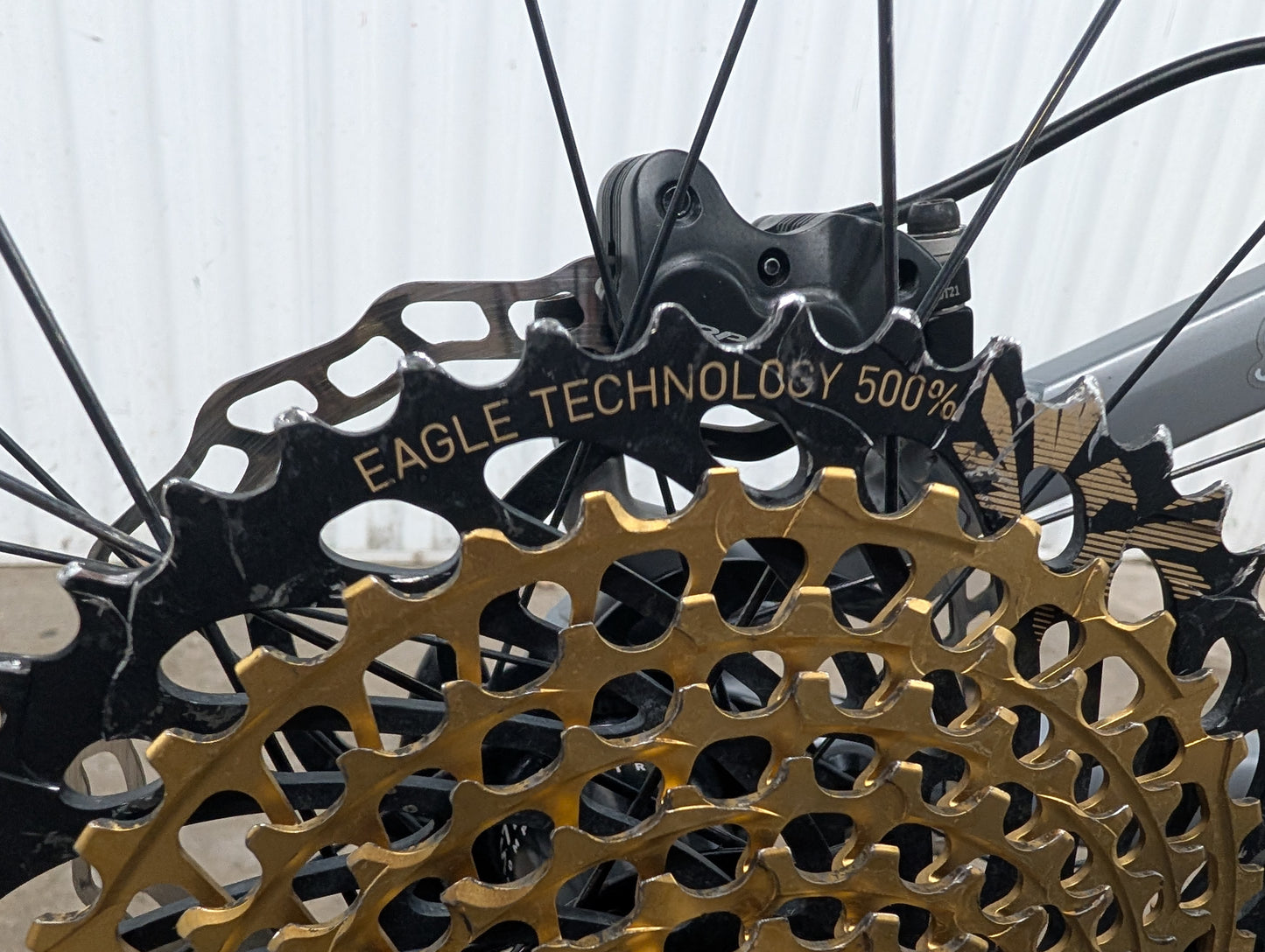 Transition Sentinel (Medium) | Reserve Carbon Wheels | Fox 36 | TRP Brakes