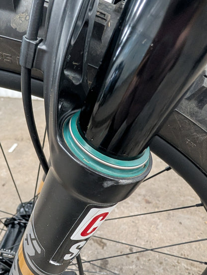 Transition Sentinel (Medium) | Reserve Carbon Wheels | Fox 36 | TRP Brakes